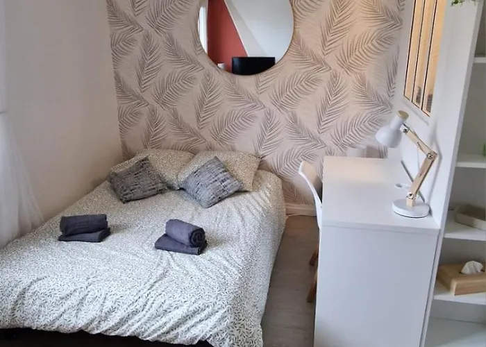 Joli Confort - Proche Centre קלרמונט-פרנד